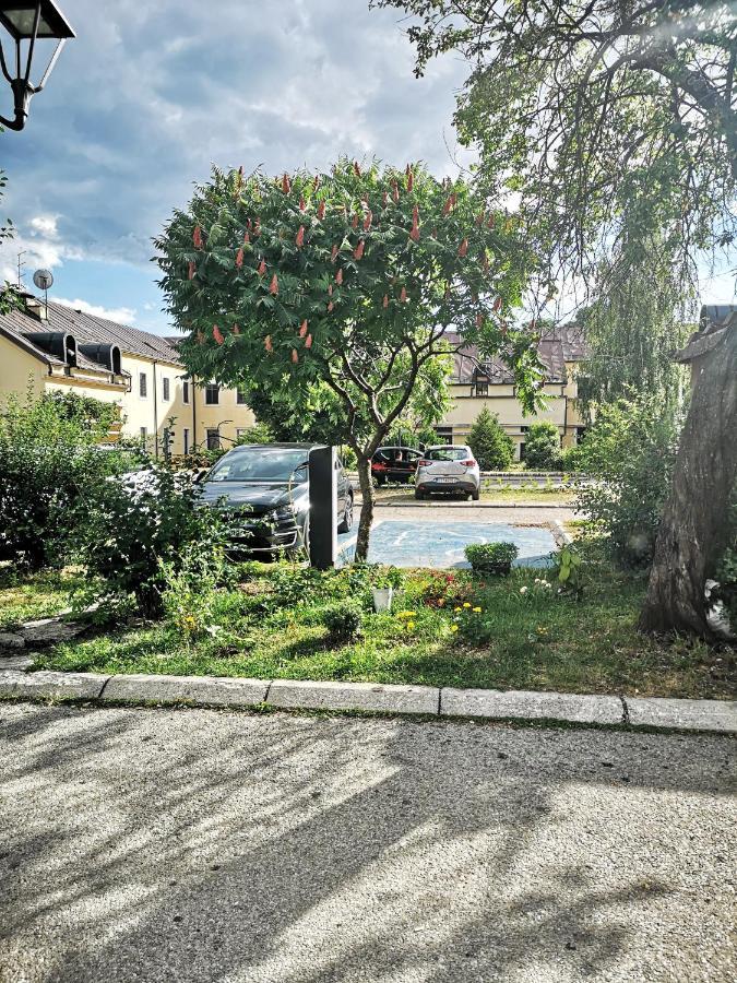 דירות סטינג'ה Apartman Sunny מראה חיצוני תמונה