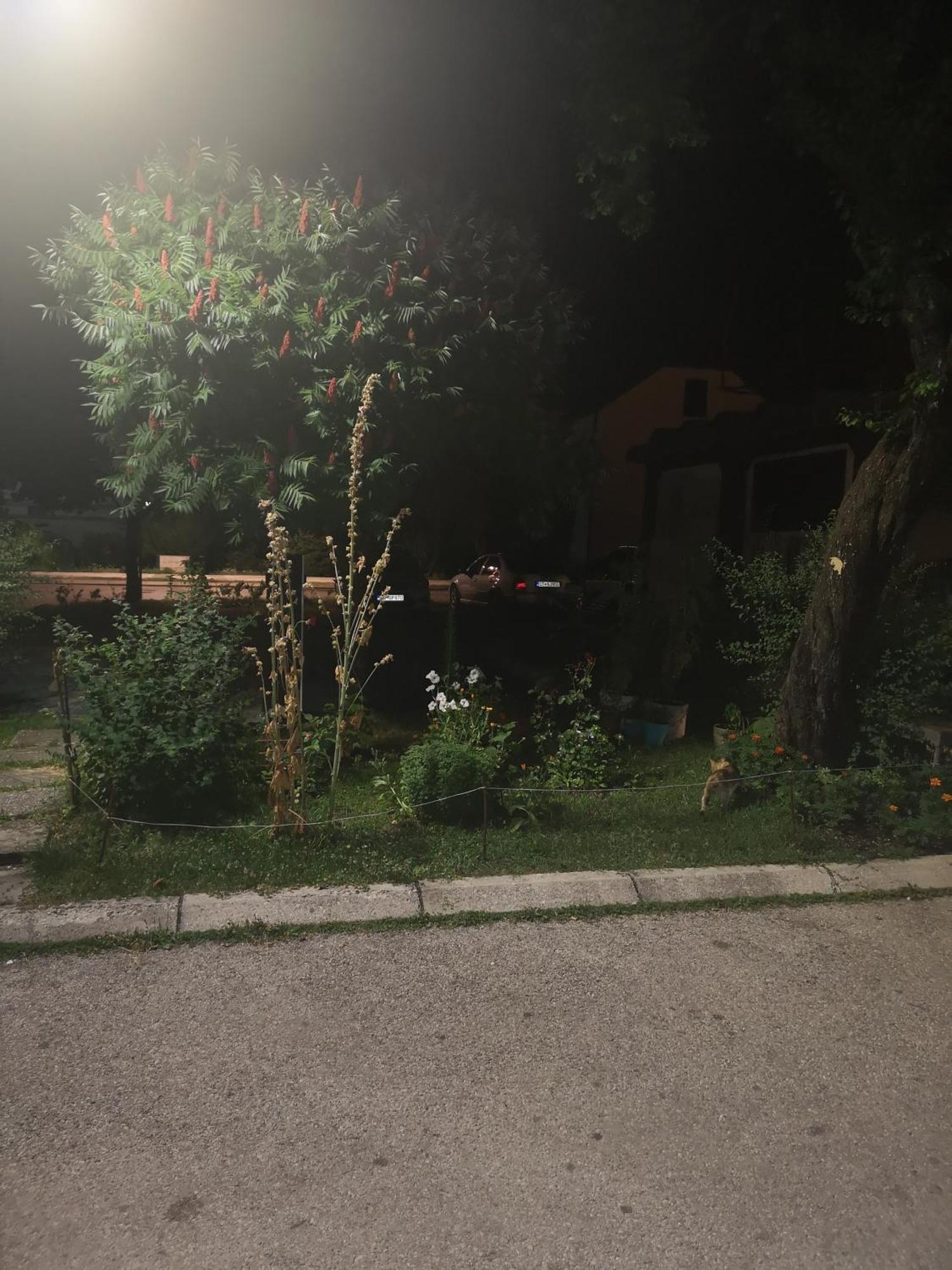 דירות סטינג'ה Apartman Sunny מראה חיצוני תמונה