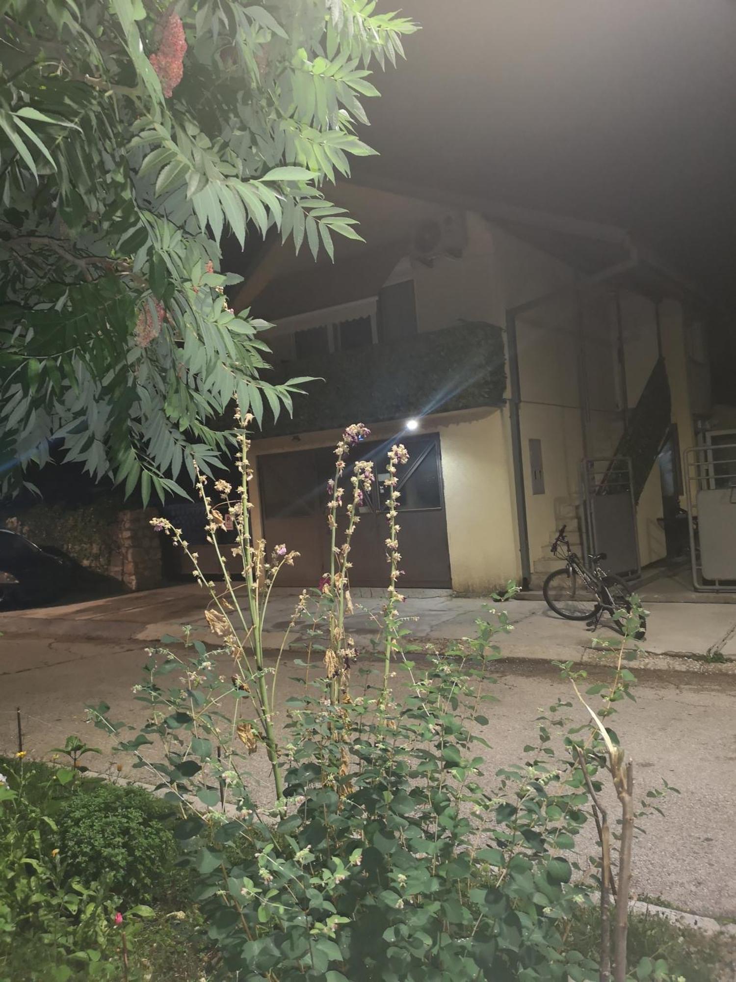 דירות סטינג'ה Apartman Sunny מראה חיצוני תמונה